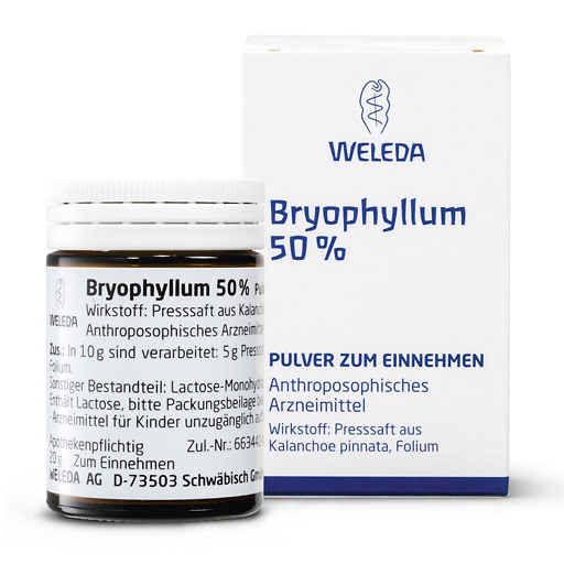 BRYOPHYLLUM 50% Pulver zum Einnehmen