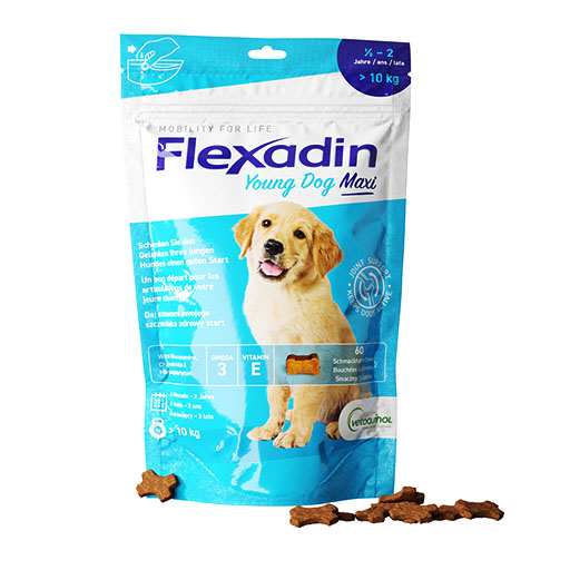 FLEXADIN Young Dog Maxi Chews Erg.Futterm.f.Hunde